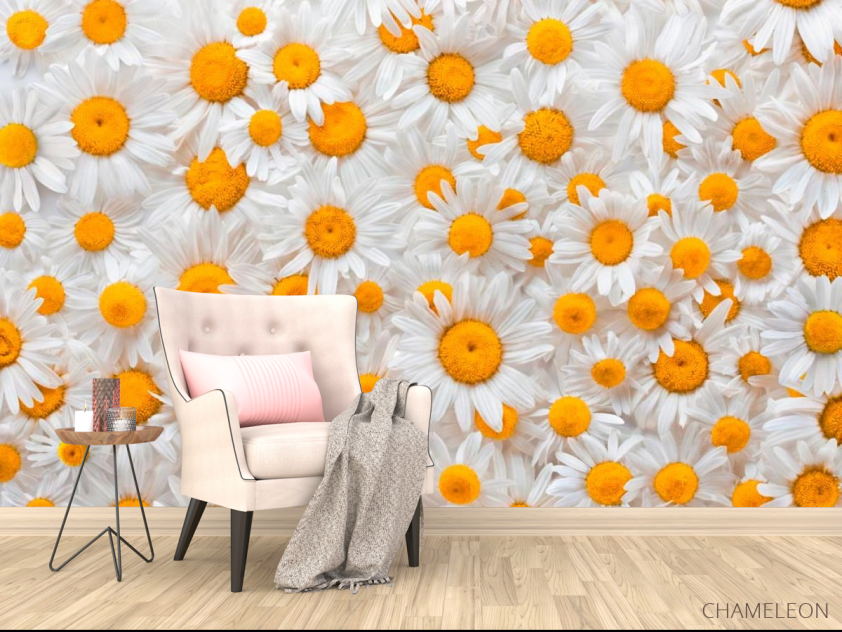 Фотообои Ромашки яркие - 4