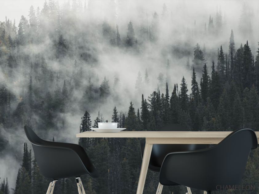 Фотошпалери Туманний ліс - 1