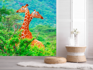 Фотошпалери Жирафи серед дерев - 2