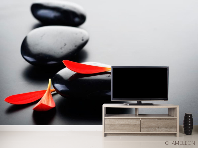 Фотообои Лепестки и камни - 2