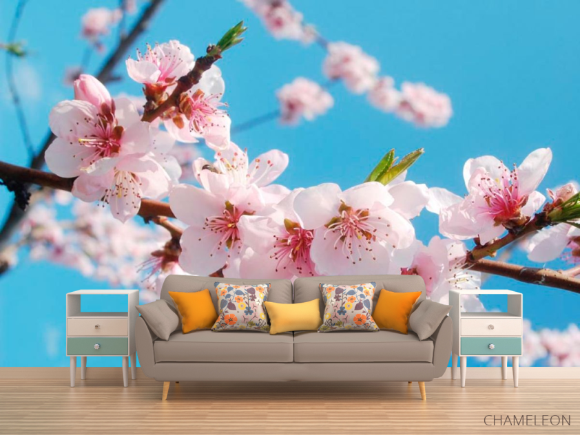 Фотообои Цветы персика - 1