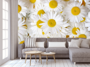 Фотообои ромашки - 3