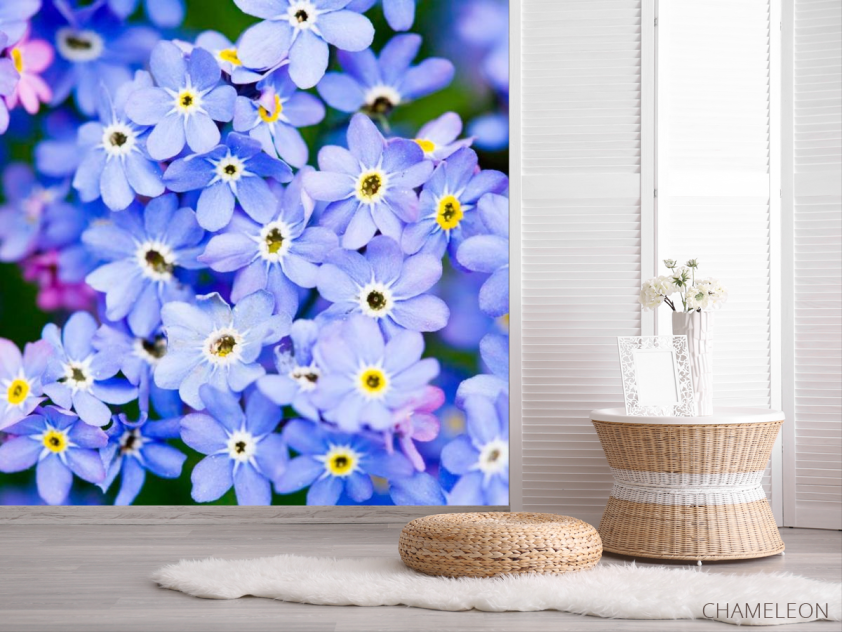 Фотошпалери Блакитні квіти весняні - 2