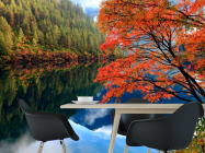 Фотошпалери Відображення, ліс, вода - 1