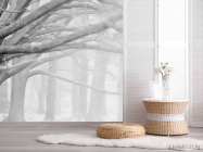 Фотошпалери великі сірі дерева - 2