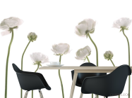 Фотошпалери квіти - 1