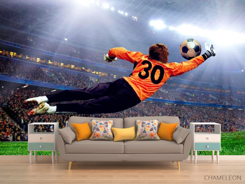 Фотообои Вратарь ловит мяч - 1