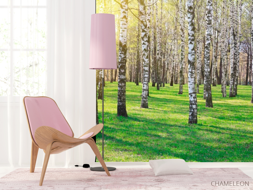 Фотошпалери Ліс, берези, сонце - 4