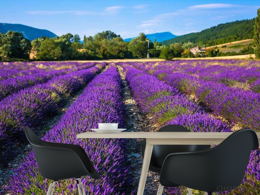 Фотошпалери поле квітів - 1