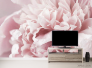 Фотообои Пион макро - 2