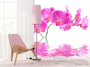 Фотообои В воде орхидеи - 4