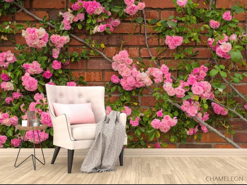 Фотообои чайная роза на кирпичной стене - 4