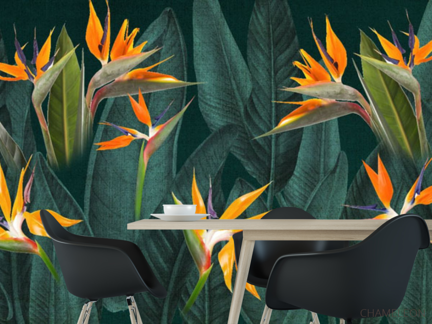 Фотошпалери квіти стреліції - 1