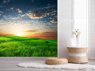 Фотошпалери Трава, небо - 2