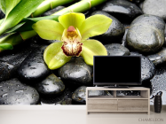 Фотообои Зеленая орхидея, камни - 2