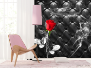 Фотошпалери Червона троянда на тлі - 4