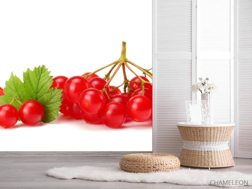 Фотошпалери калина - 2