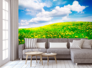 Фотообои Тучи, небо, луг - 3