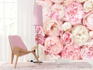 Фотошпалери Пудрові бутони півоній - 4