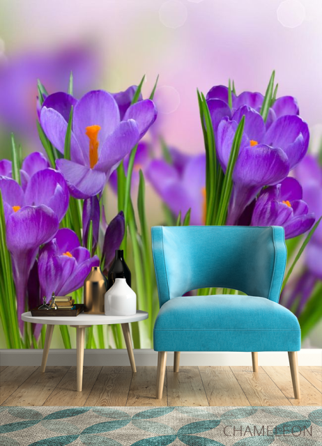 Фотообои фиолетовые цветы в траве - 4