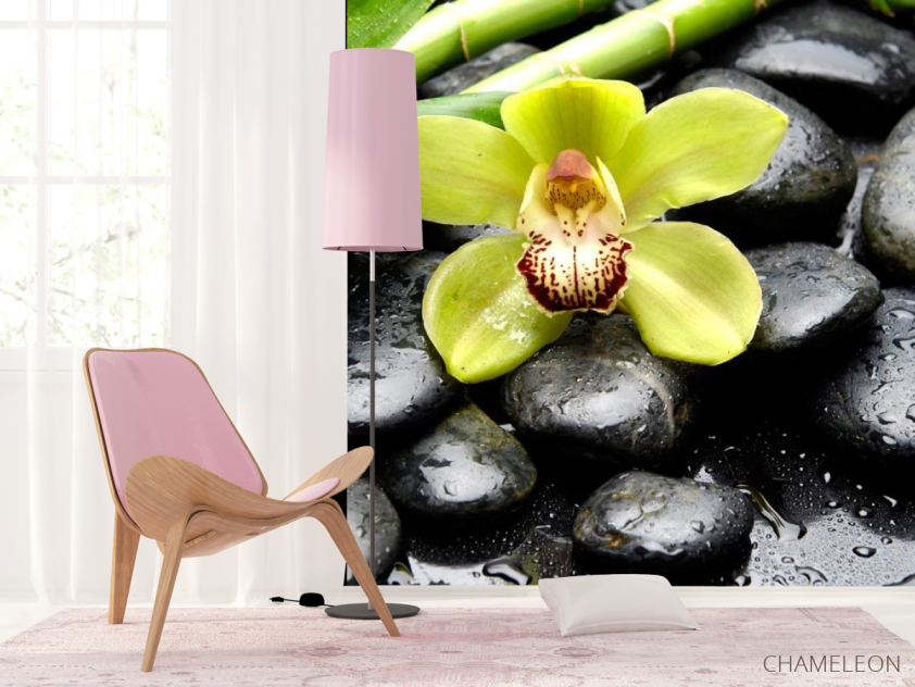 Фотошпалери Зелена орхідея, камені - 4