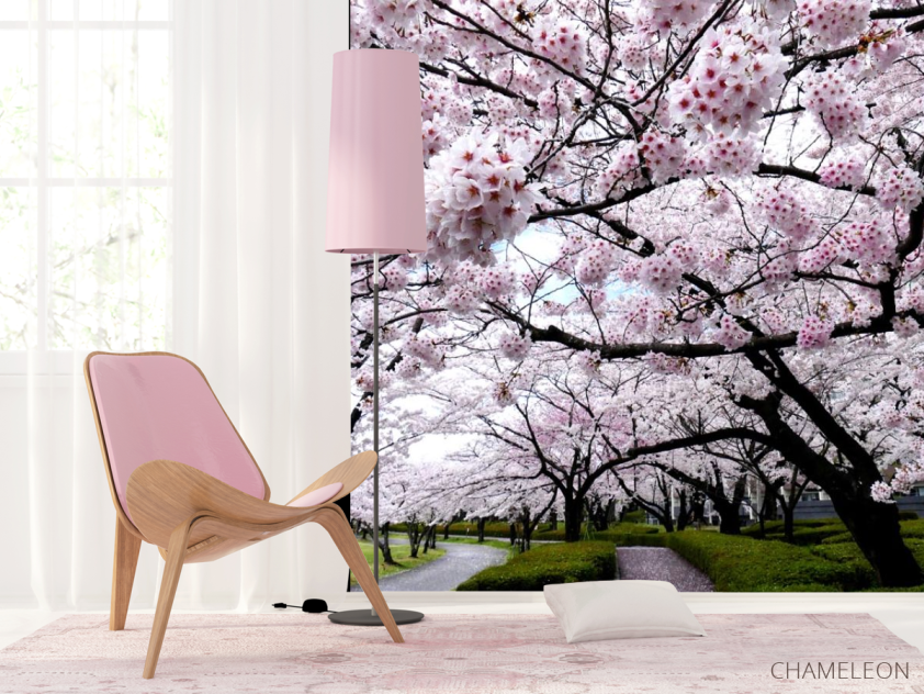 Фотошпалери дерева з білими квіточками - 4