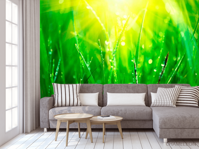 Фотообои На траве роса - 3