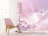 Фотошпалери Перо з росою на рожевому тлі - 4