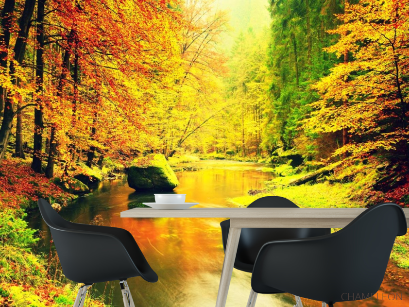 Фотошпалери жовтий осінній ліс - 1