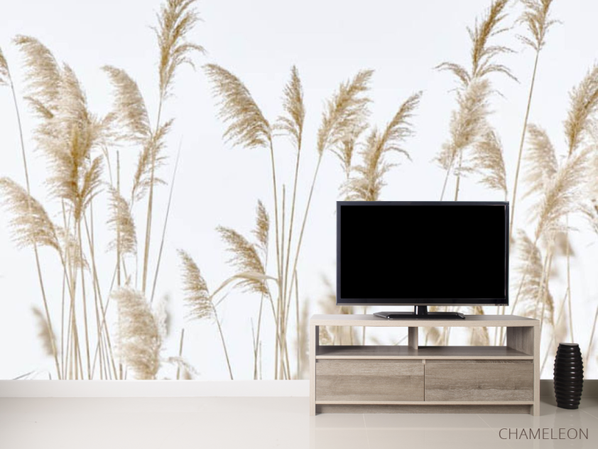 Фотообои Сухоцветы камышь - 2