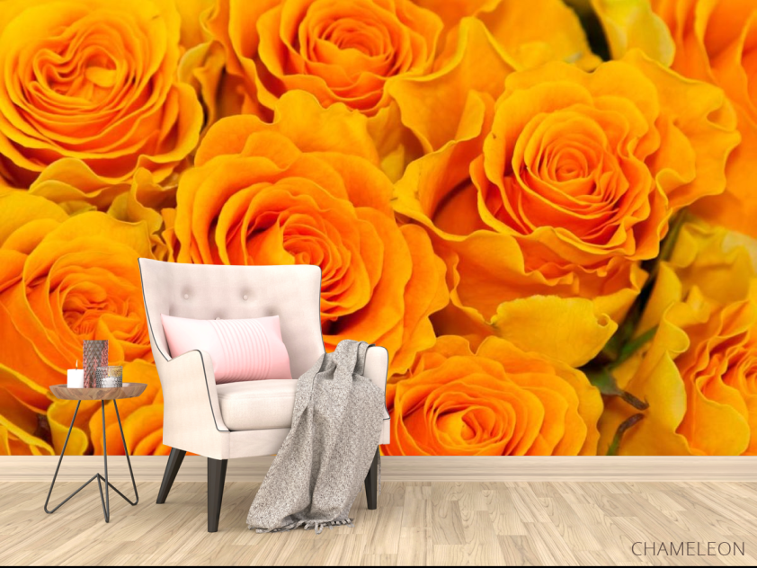 Фотообои Розы желтого оттенка - 4