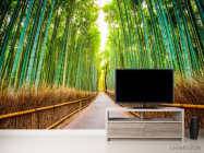 Фотообои Бамбуковая роща - 2