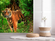 Фотошпалери Тигр в заростях - 2