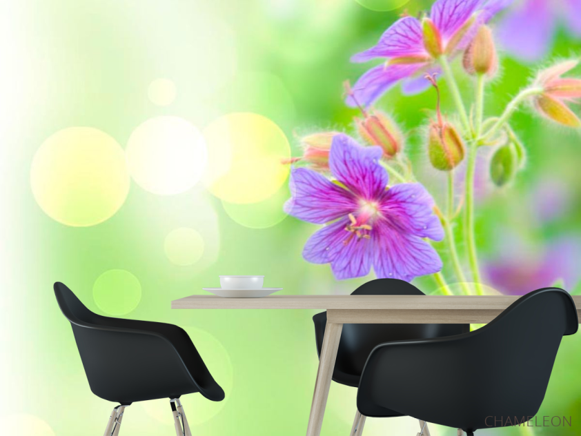 Фотообои Фиолетовый полевой цветок - 1