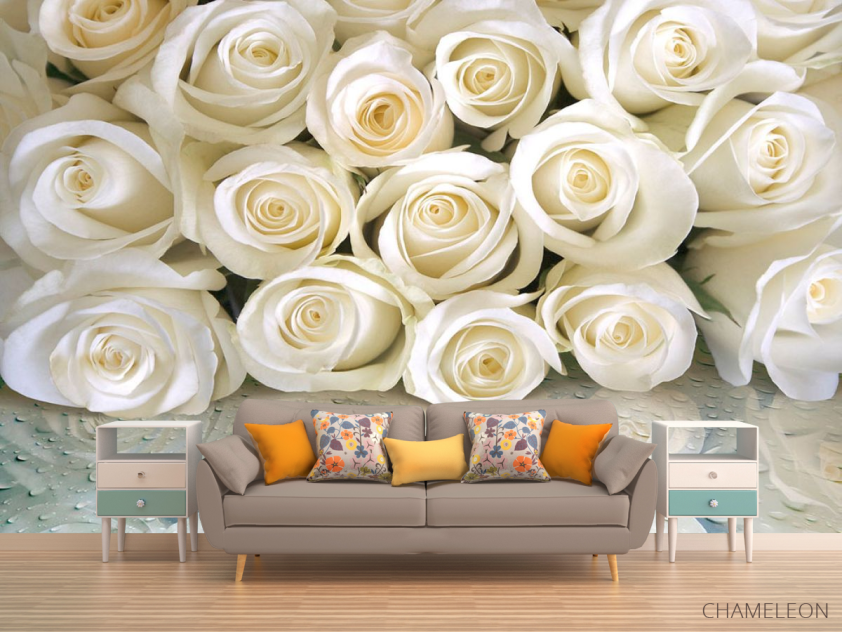 Фотообои Белые розы с росой - 1