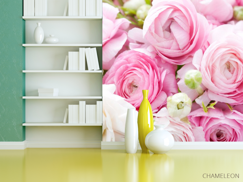 Фотошпалери Рожеві рунункулюсы - 3