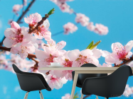 Фотошпалери Квіти персика - 1