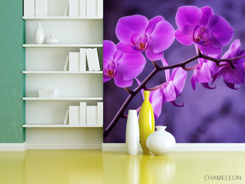 Фотошпалери орхідея - 3