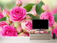 Фотообои чайная роза - 2