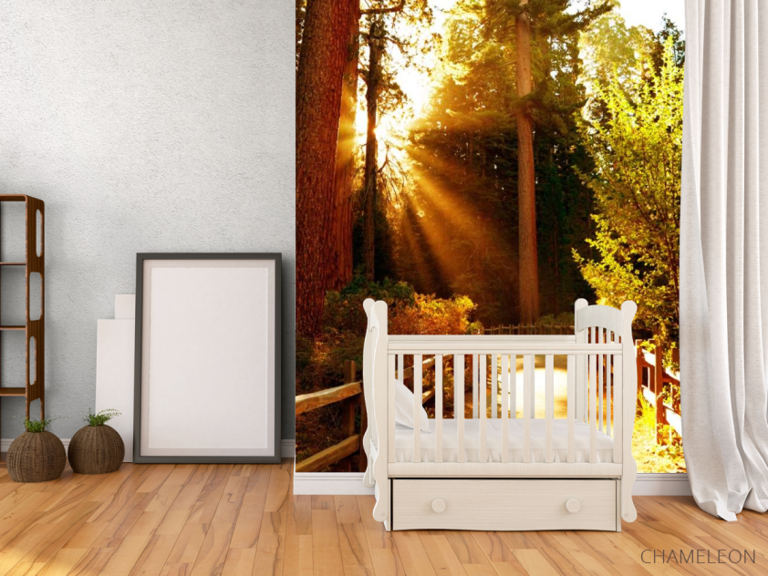 Фотообои Проход в лес - 2