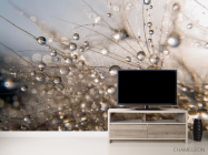 Фотообои Роса - 2