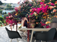 Фотошпалери квітковий дворик - 1