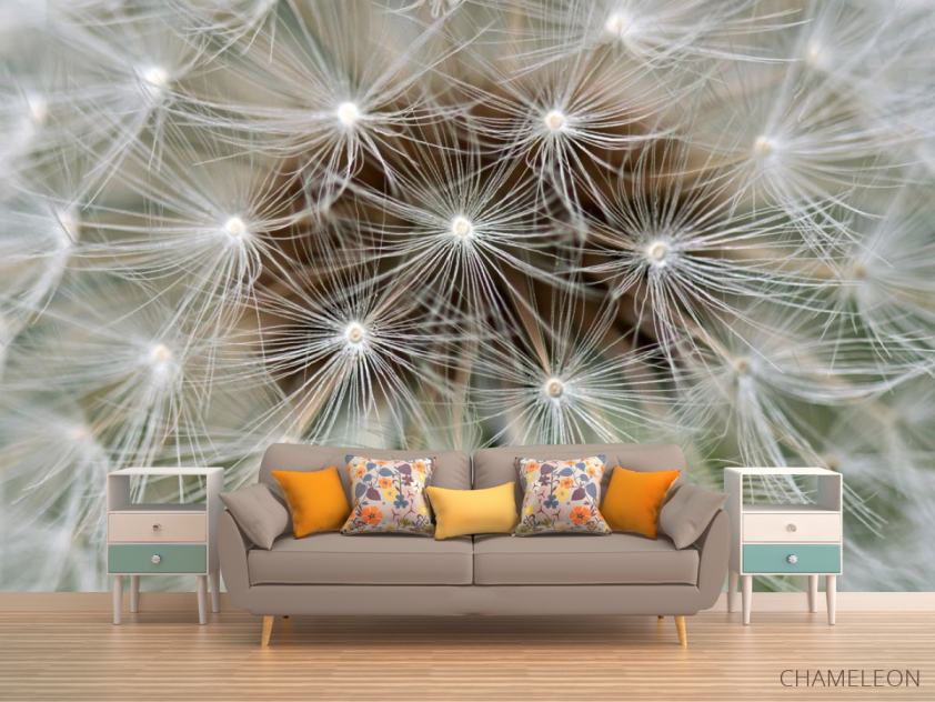Фотообои семена на одуванчике - 1