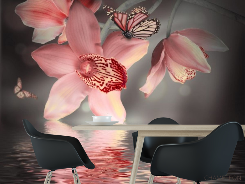 Фотообои Цветок с бабочкой - 1