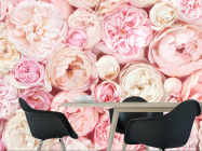 Фотошпалери Пудрові бутони півоній - 1