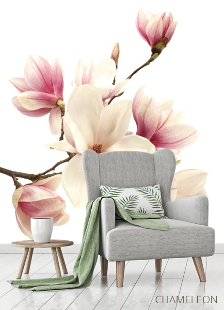 Фотообои магнолия - 3