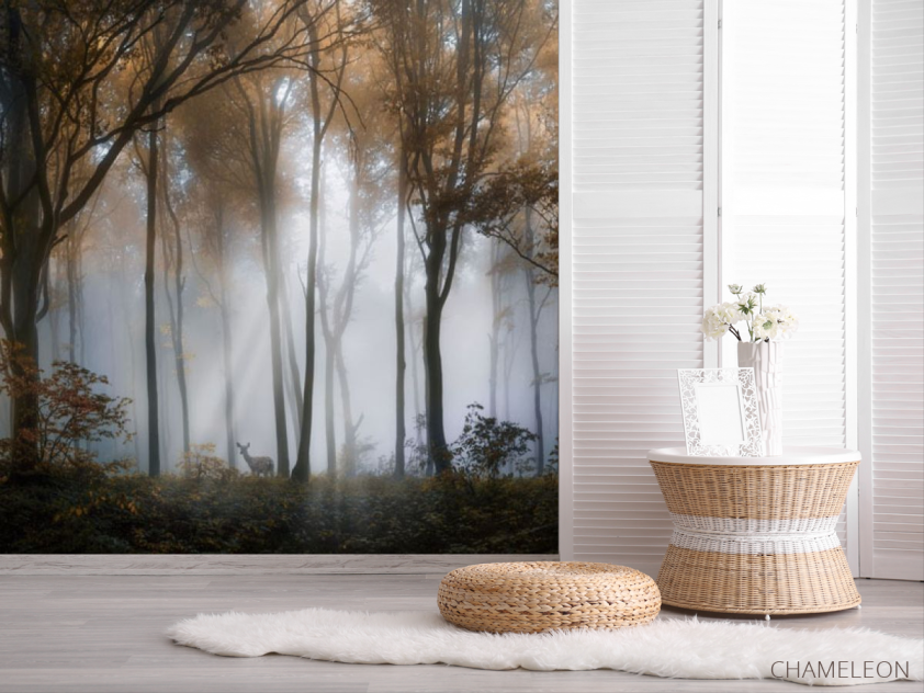 Фотошпалери туманні дерева в лісі - 2