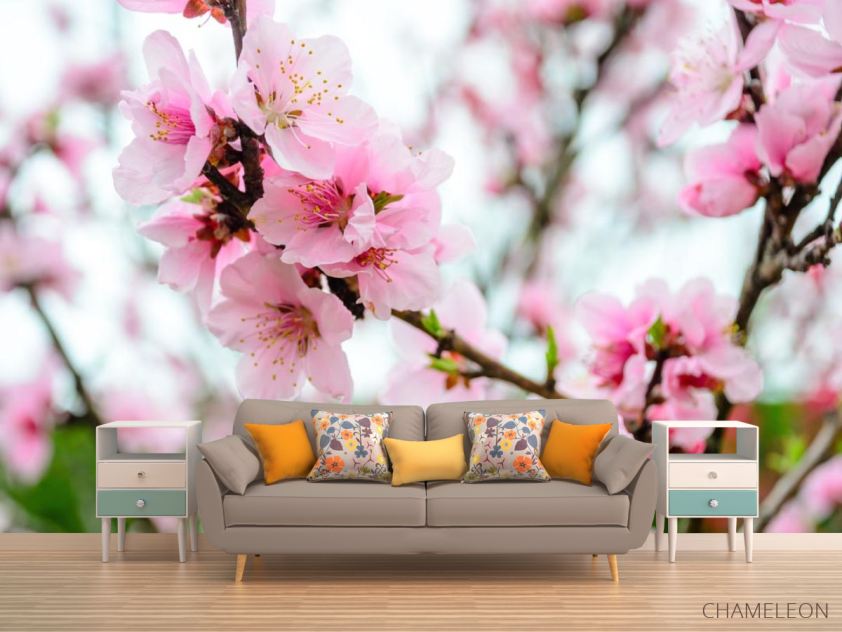 Фотообои розовая сакура - 1
