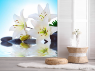 Фотошпалери Лілії, каміння, вода - 2