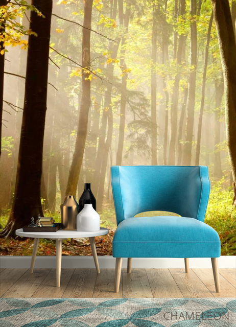 Фотообои Деревья, лес - 4